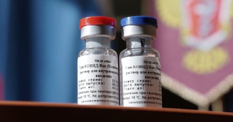 Производство российской вакцины от коронавируса могут открыть в Турции