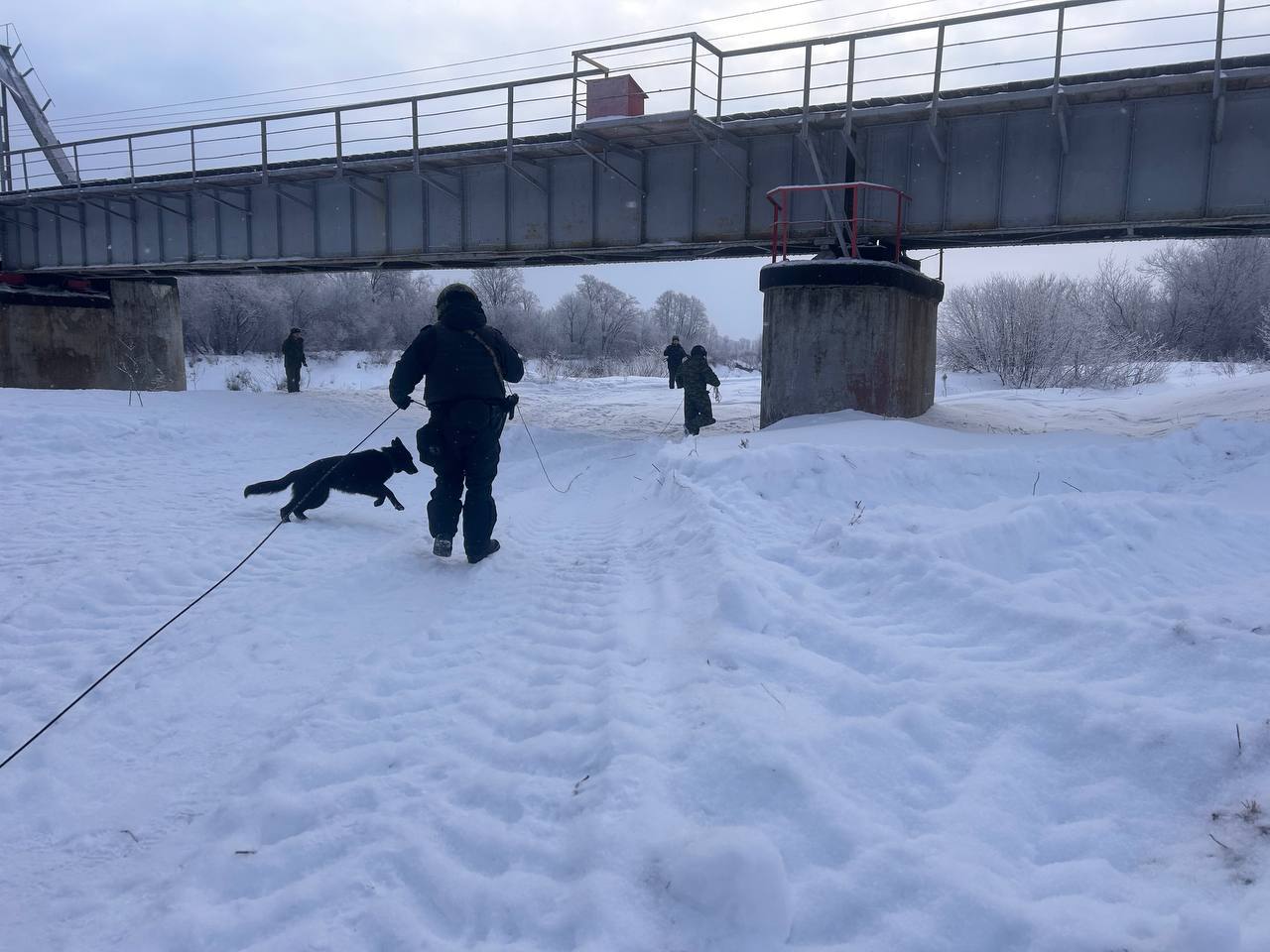 Антитеррористическое учение прошло в Ярском и Глазовском районах Удмуртии