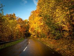 До +21 градуса потеплеет во вторник в Удмуртии 