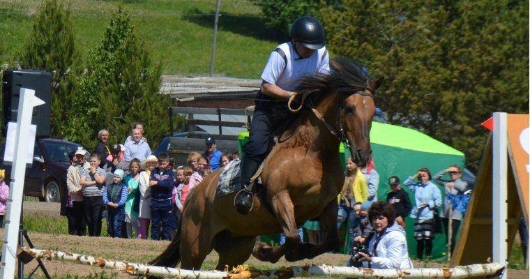 В Удмуртии пройдет фестиваль конного биатлона