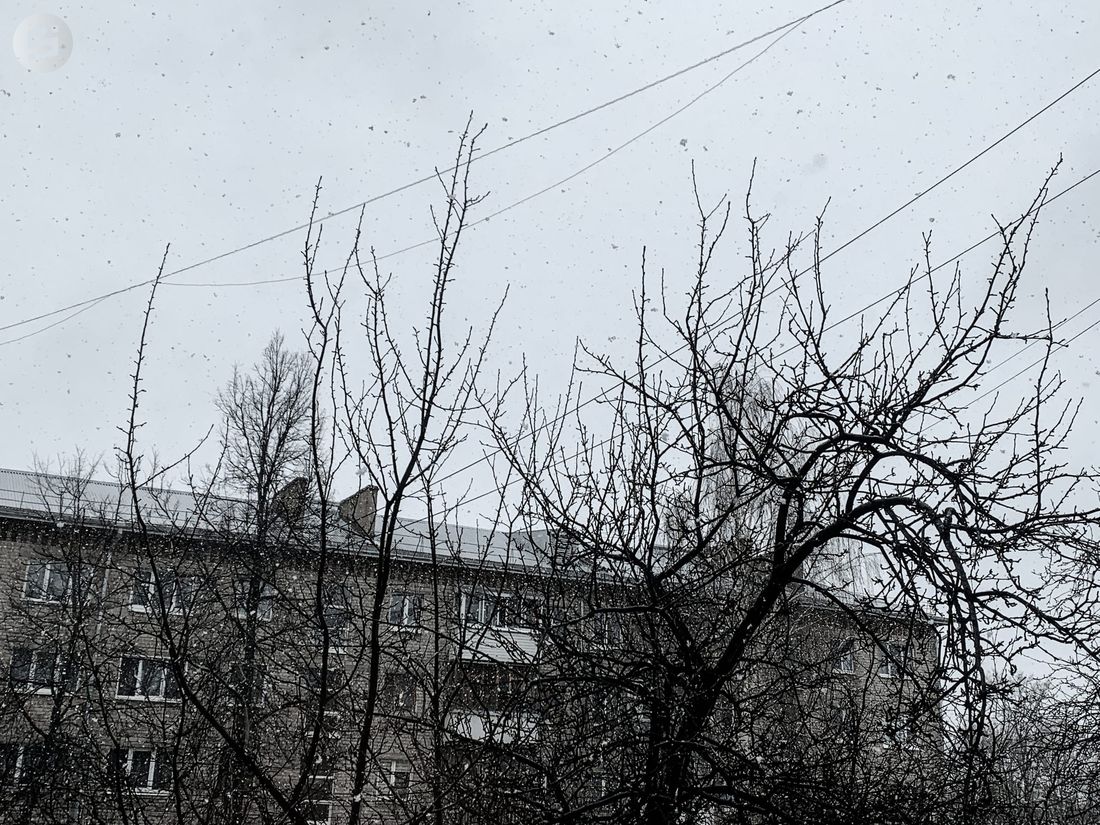 Заморозки, дожди и потепление: погода в Удмуртии на предстоящую неделю