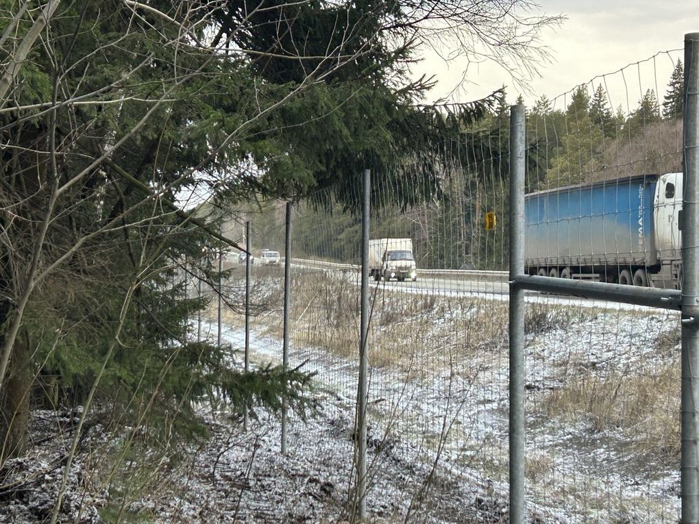 В Удмуртии на трассе «Ижевск — Воткинск» появились сетчатые ограждения от диких животных