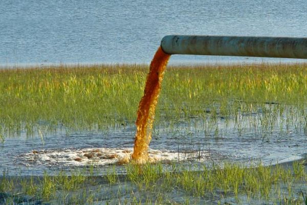 Коммунальщики отравили киясовский пруд сточными водами