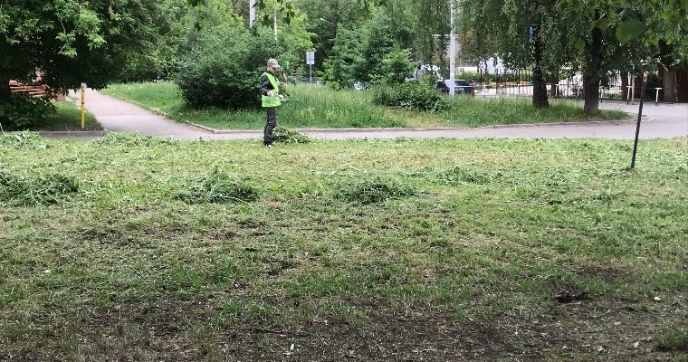 В Ижевске повторно скосят траву на площади более 2 млн квадратных метров 