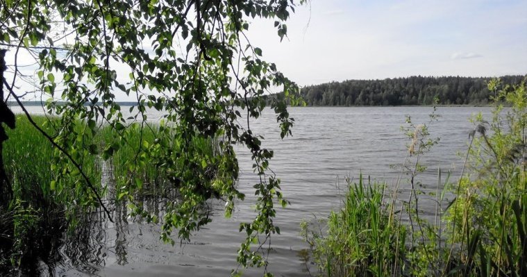 За купальный сезон 2023 года на водоемах в Удмуртии погибли 24 человека 