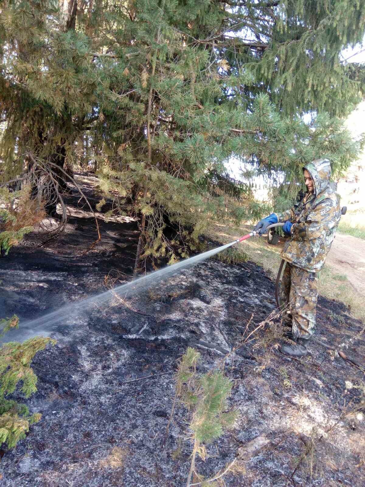 Причиной лесного пожара в Сарапульском районе могла стать непотушенная сигарета
