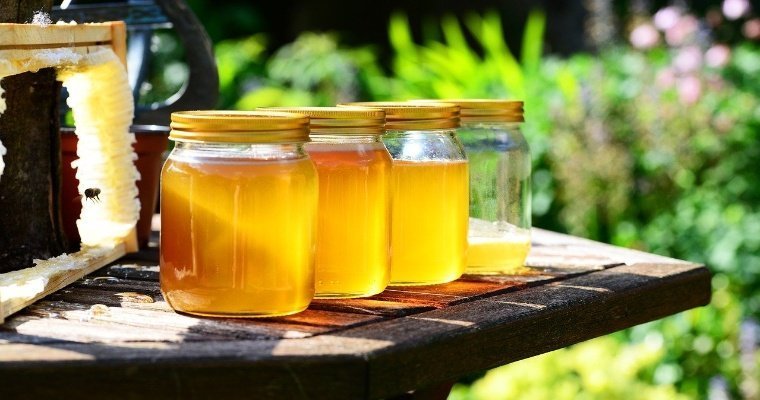 Удмуртия отправила в Швейцарию более полутонны мёда