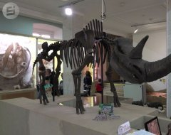 Уникальные экспонаты показали жителям Ижевска в «Ночь музеев»