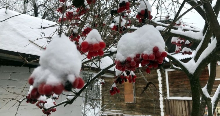 До -13 градусов ожидается в Удмуртии днём 15 декабря