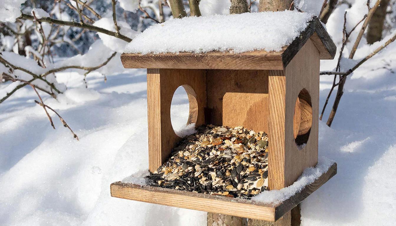 Ветеринары Удмуртии дали совет, чем лучше подкармливать птиц зимой 