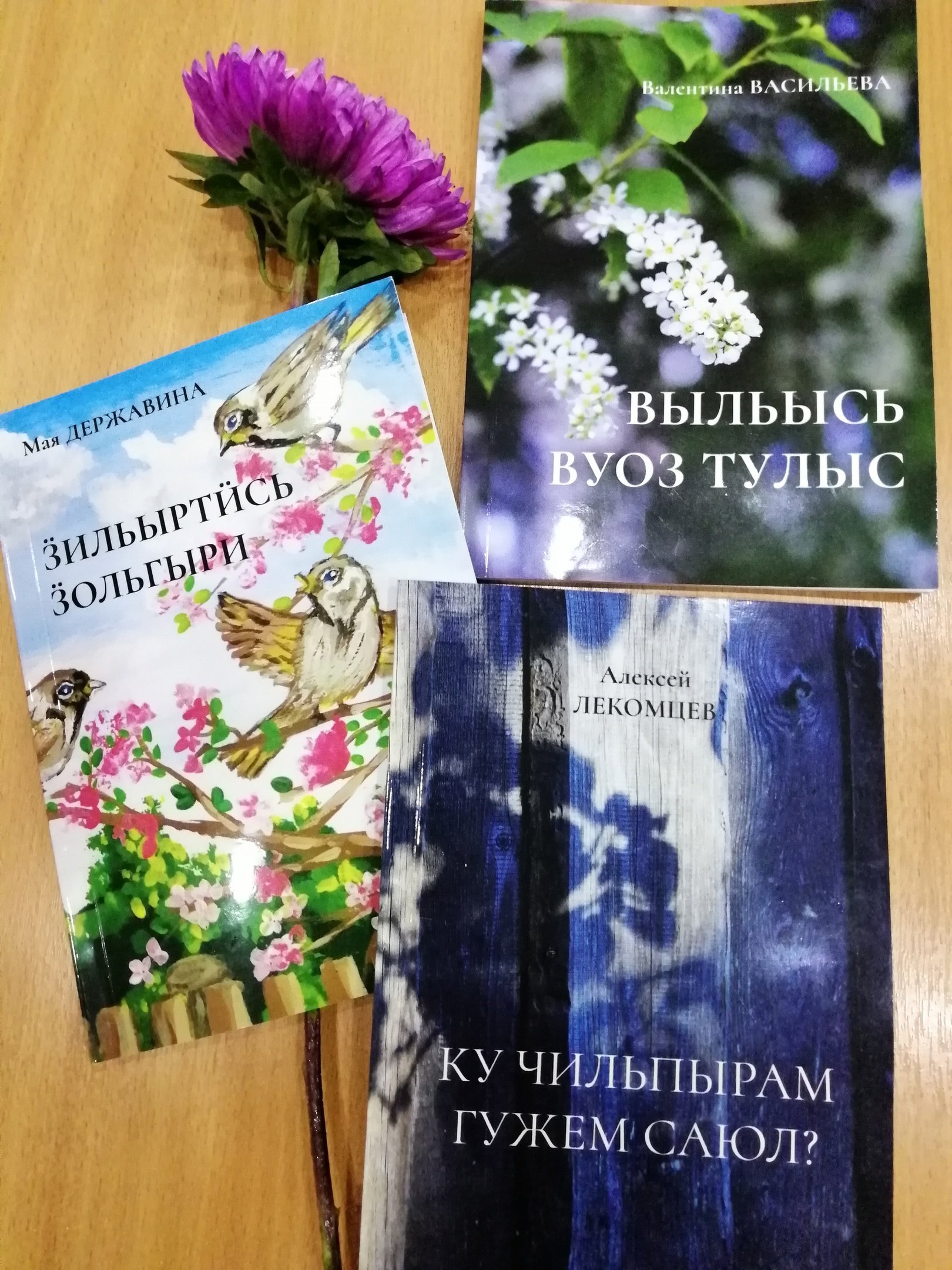 В Удмуртии вышли в свет три новые книги на удмуртском языке