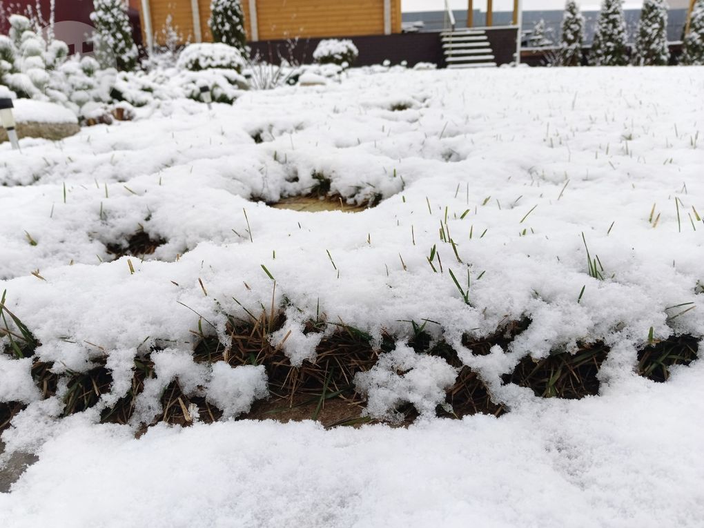 4 декабря в Удмуртии потеплеет до +2 градусов