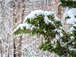 Мокрый снег ожидается в Удмуртии в среду
