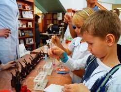 В Ижевске подвели итоги городского конкурса детских научно-исследовательских проектов «Крылья науки»