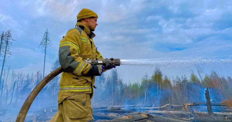 В Удмуртии в 2,5 раза увеличилось число ландшафтных пожаров