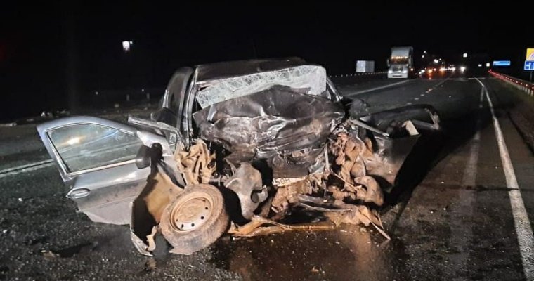 Мужчина и ребенок погибли в ночном ДТП на трассе в Удмуртии