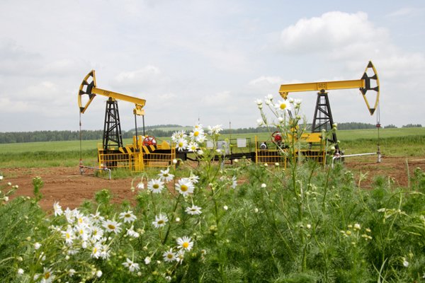 Дивиденды «Удмуртнефти» по итогам первого полугодия увеличились на четверть