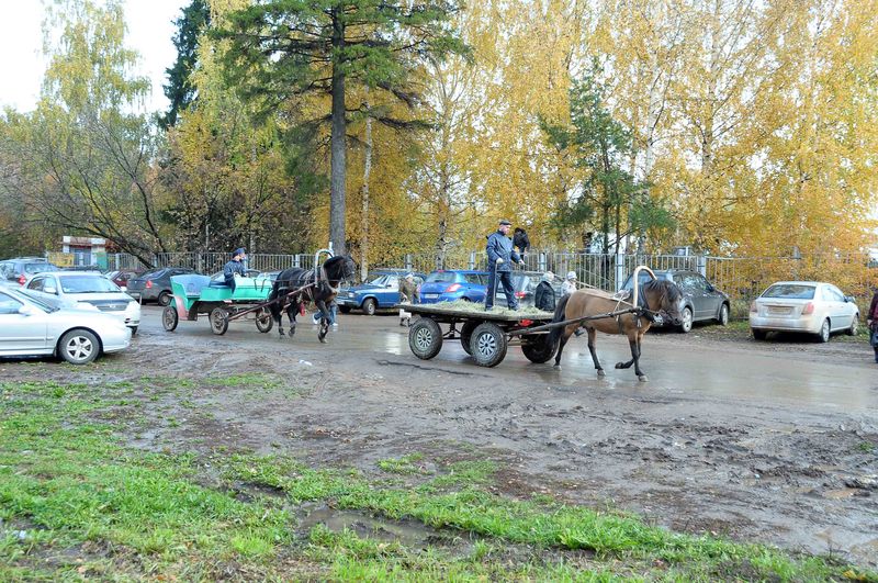 Ижевская сельскохозяйственная академия