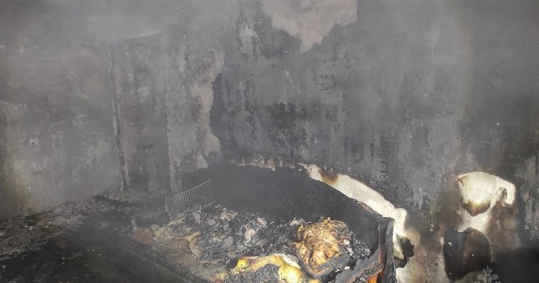 Пожар произошел в квартире на улице Ворошилова в Ижевске