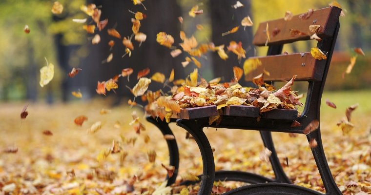 Вечером 18 ноября местами по Удмуртии усилится ветер