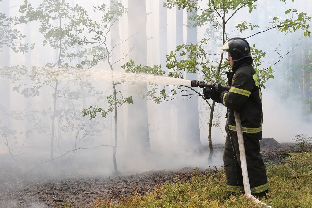 В Рязанской области локализовали 2 из 6 очагов лесных пожаров