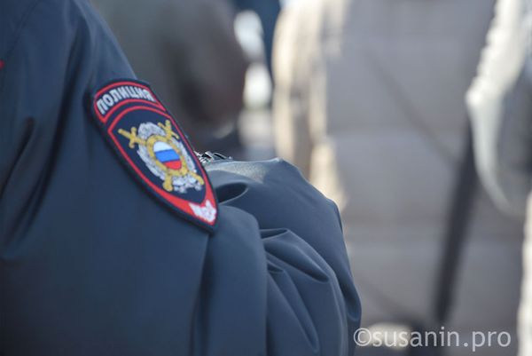 Штраф 200 тыс рублей грозит пенсионеру из Можгинского района за застреленного лося