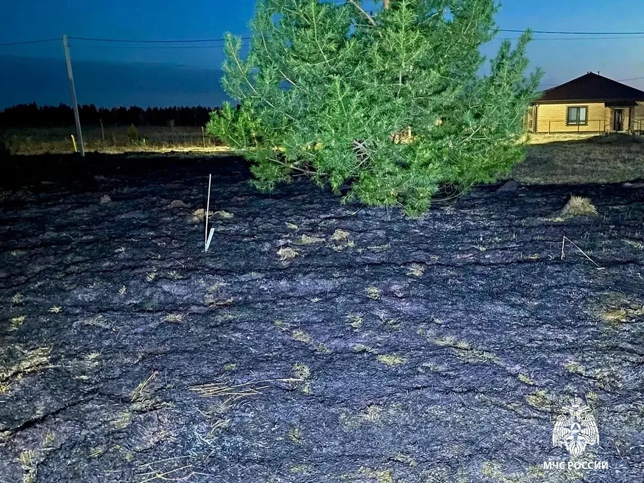 Картина дня: первый ландшафтный пожар в Удмуртии и планы по приватизации Ижавиа