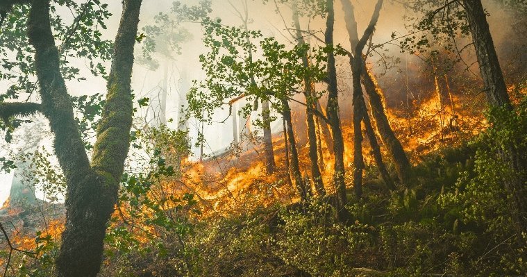 За 2021 год в Удмуртии произошло 128 природных пожаров