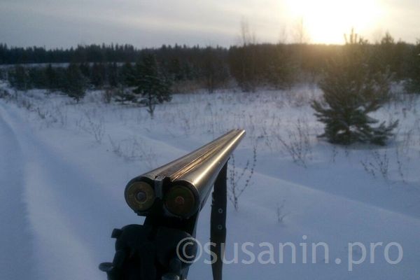 Инспектора природоохраны Кезского района нашли мертвым в подвале своего дома