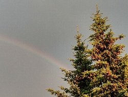 Кратковременные дожди пройдут в Удмуртии 5 июня 