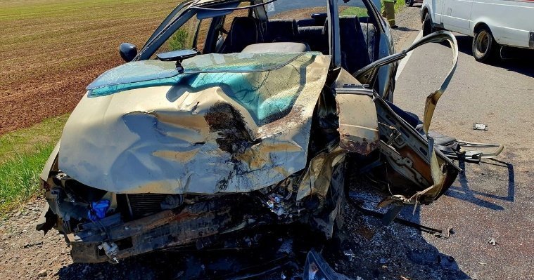 Водитель «Нексии» погиб в лобовом столкновении на дороге в Удмуртии 