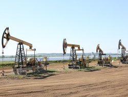 Исполнилось 35 лет с начала промышленной эксплуатации Прикамского участка Ельниковского месторождения «Удмуртнефти» 