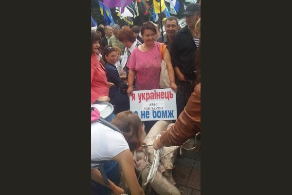 Активисты у здания Рады в Киеве привели на митинг поросят