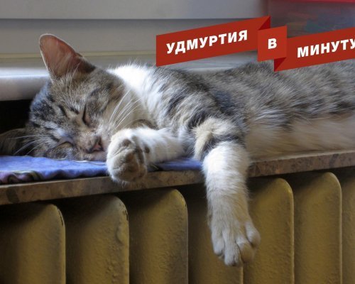 Удмуртия в минуту: начало отопительного сезона и планы по ремонту дорог в Ижевске