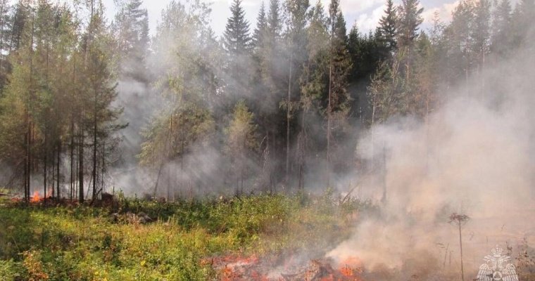 Статус чрезвычайной пожароопасности лесов продлили в Удмуртии на неделю