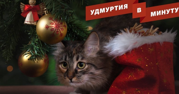 Удмуртия в минуту: покупатель «Ижевских электрических сетей» и новогодняя афиша