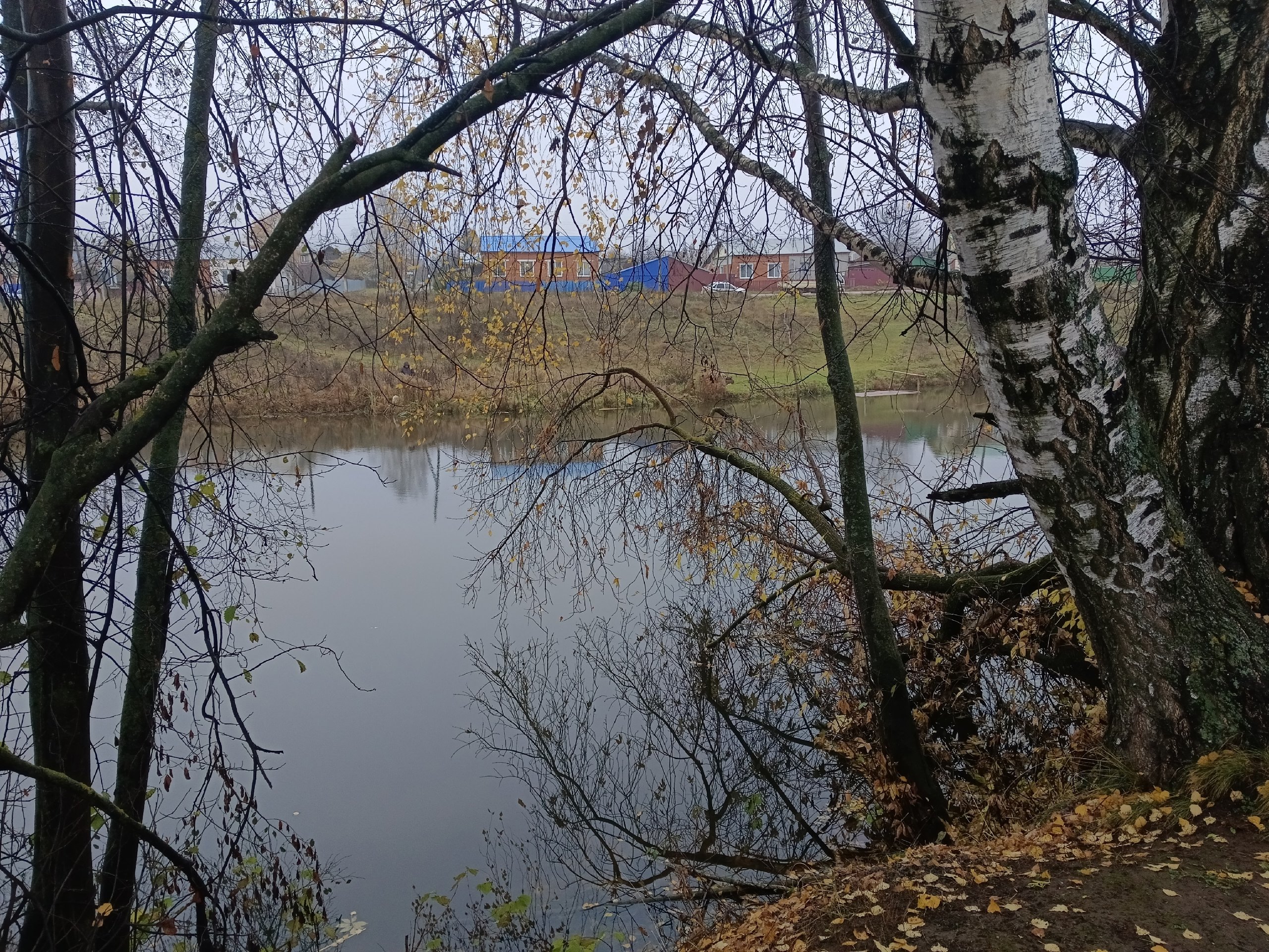 До -4 похолодает днём в пятницу в Удмуртии