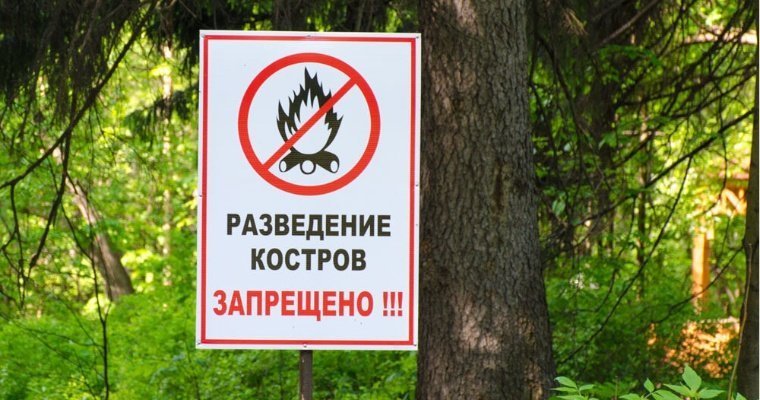 Причиной 10 из 11 пожаров в Удмуртии за сезон 2022 года явился человек