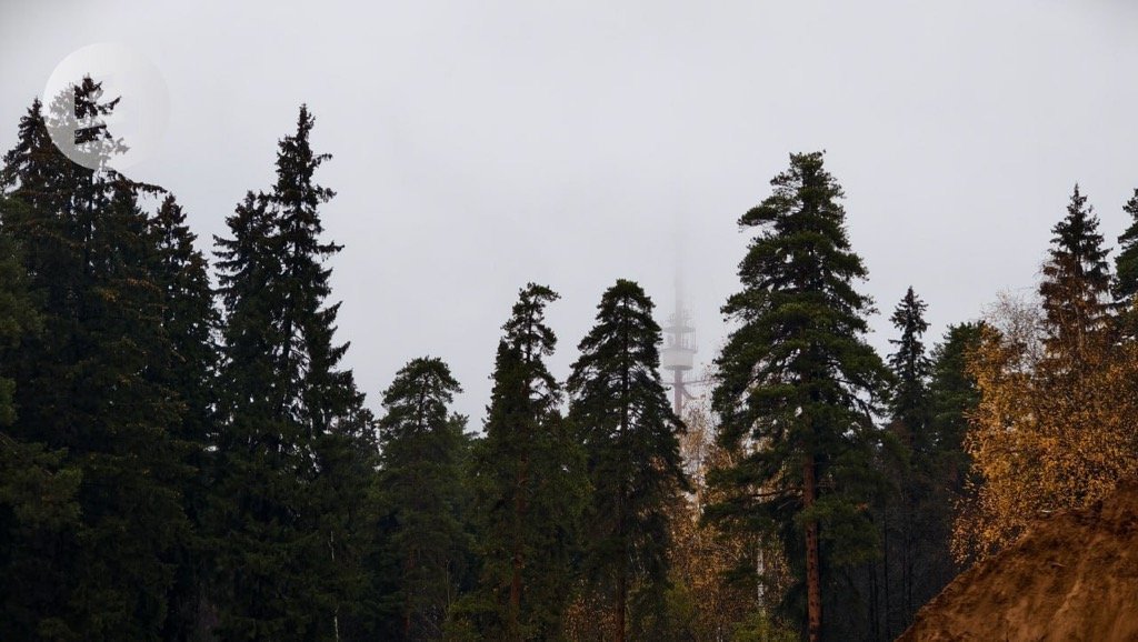 В Удмуртии 29 октября температура воздуха поднимется до 10°С