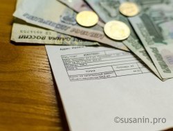 Многодетным и малоимущим семьям в Ижевске компенсируют затраты на оплату услуг ЖКХ