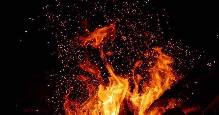 ЕГЭ для родителей в Удмуртии и пожар на нефтебазе в Белгородской области: новости к этому часу