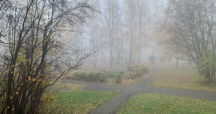 Температура воздуха в ноябре в Удмуртии была выше климатической нормы в среднем на 5 градусов 
