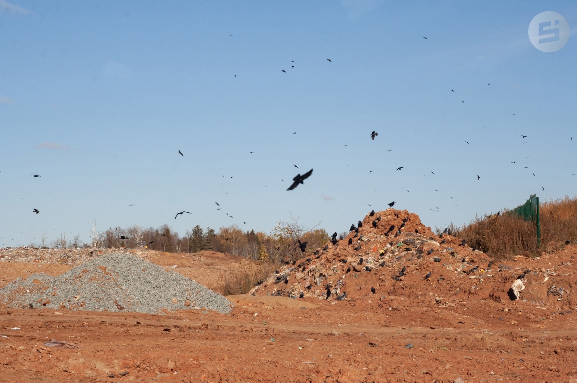 В Удмуртии с начала года на нарушителей природоохранного законодательства наложили 754 тысячи рублей штрафов