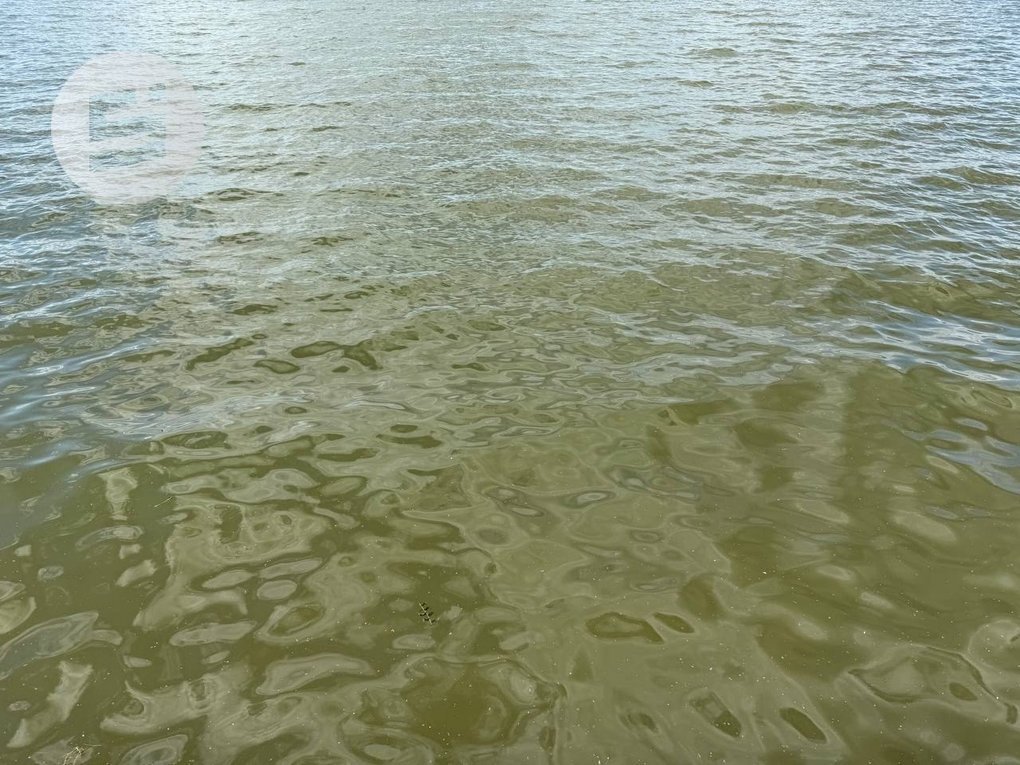 Вода и пляж Ижевского пруда не соответствуют гигиеническим нормам