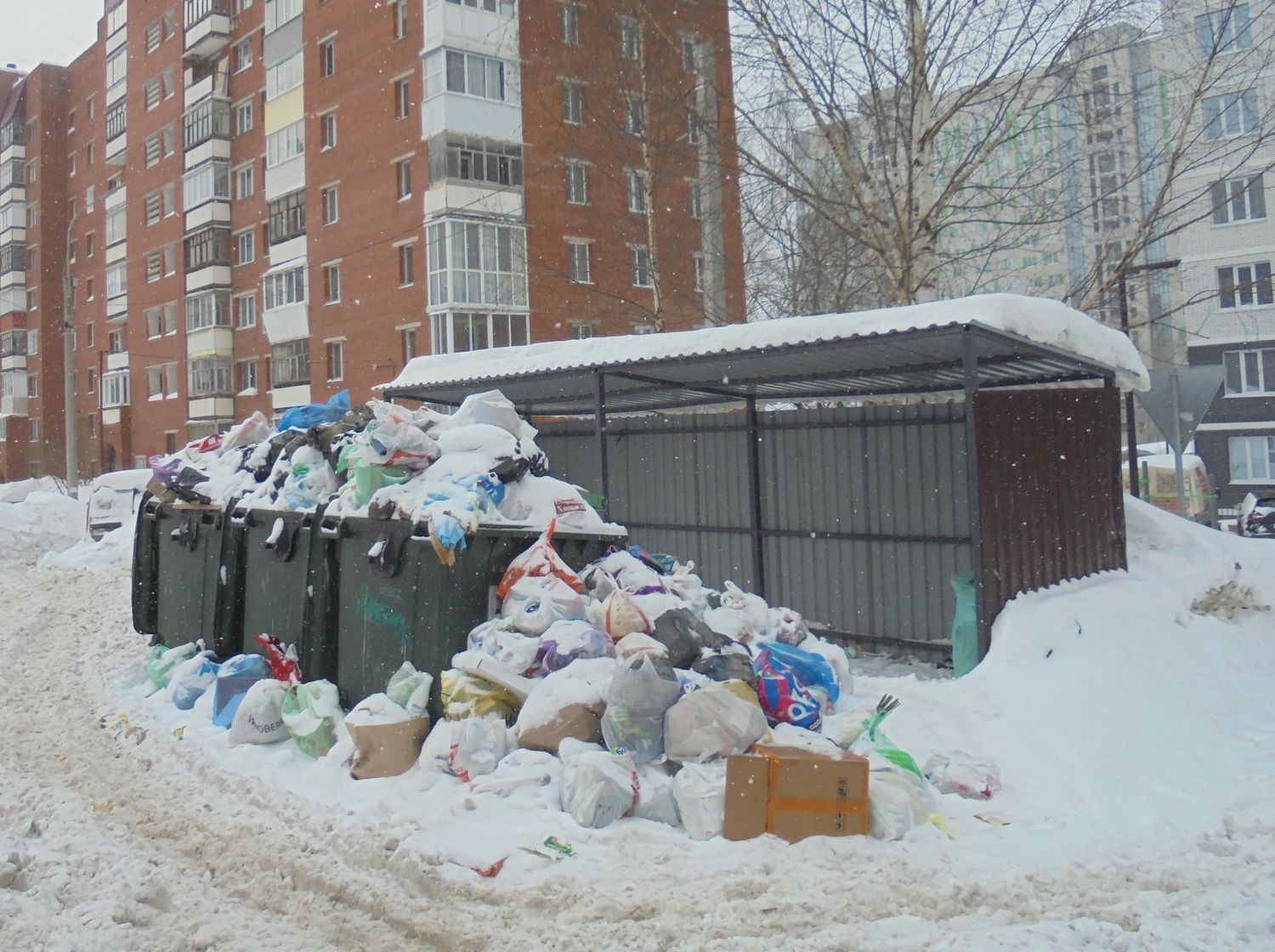 С начала года в Ижевске выявили семь управляек, несвоевременно вывозивших мусор