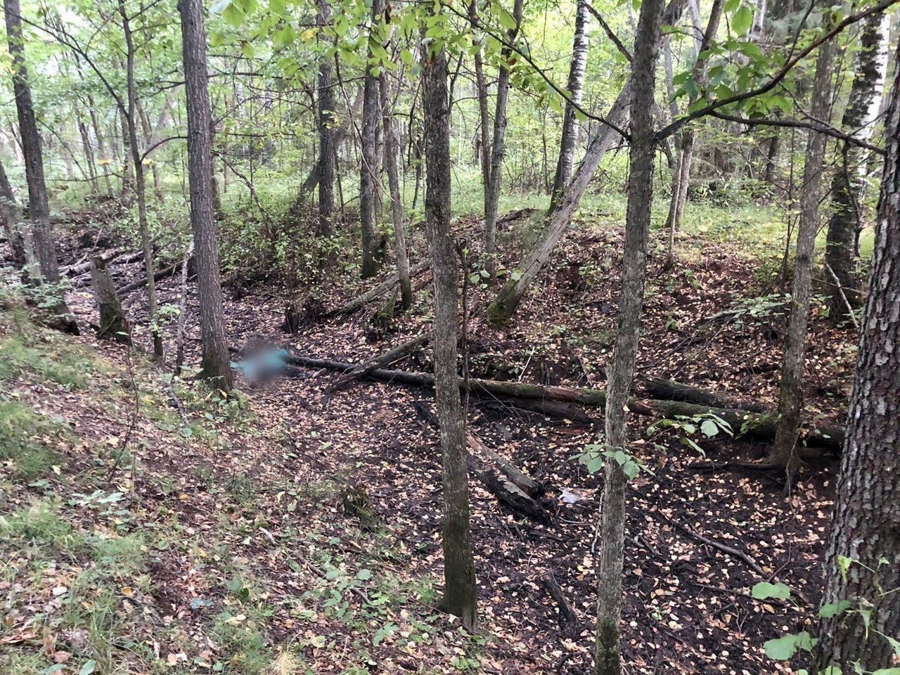 В лесу Удмуртии нашли тело женщины