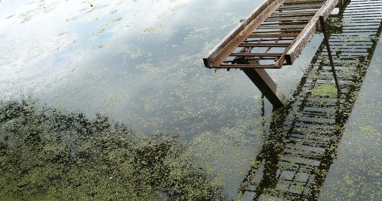 В Удмуртии водолазы ищут пропавших на прудах мужчину и женщину