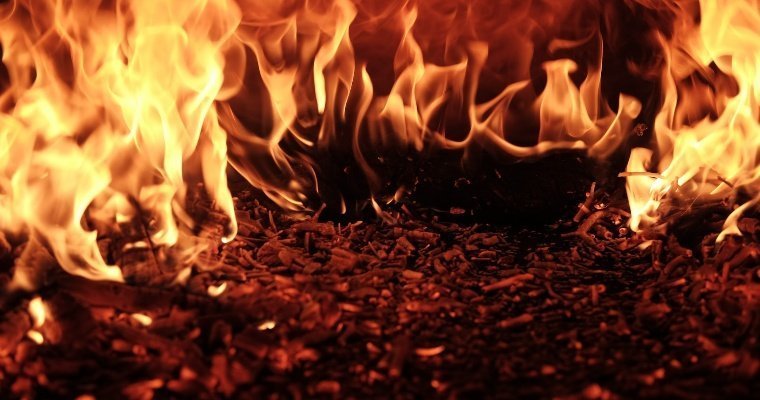 Количество лесных пожаров в Удмуртии увеличилось в 10 раз