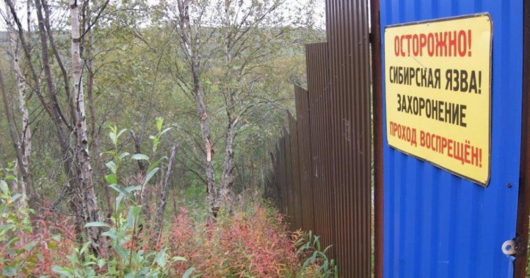 Сибиреязвенные захоронения в Увинском районе приняли в собственность Удмуртии