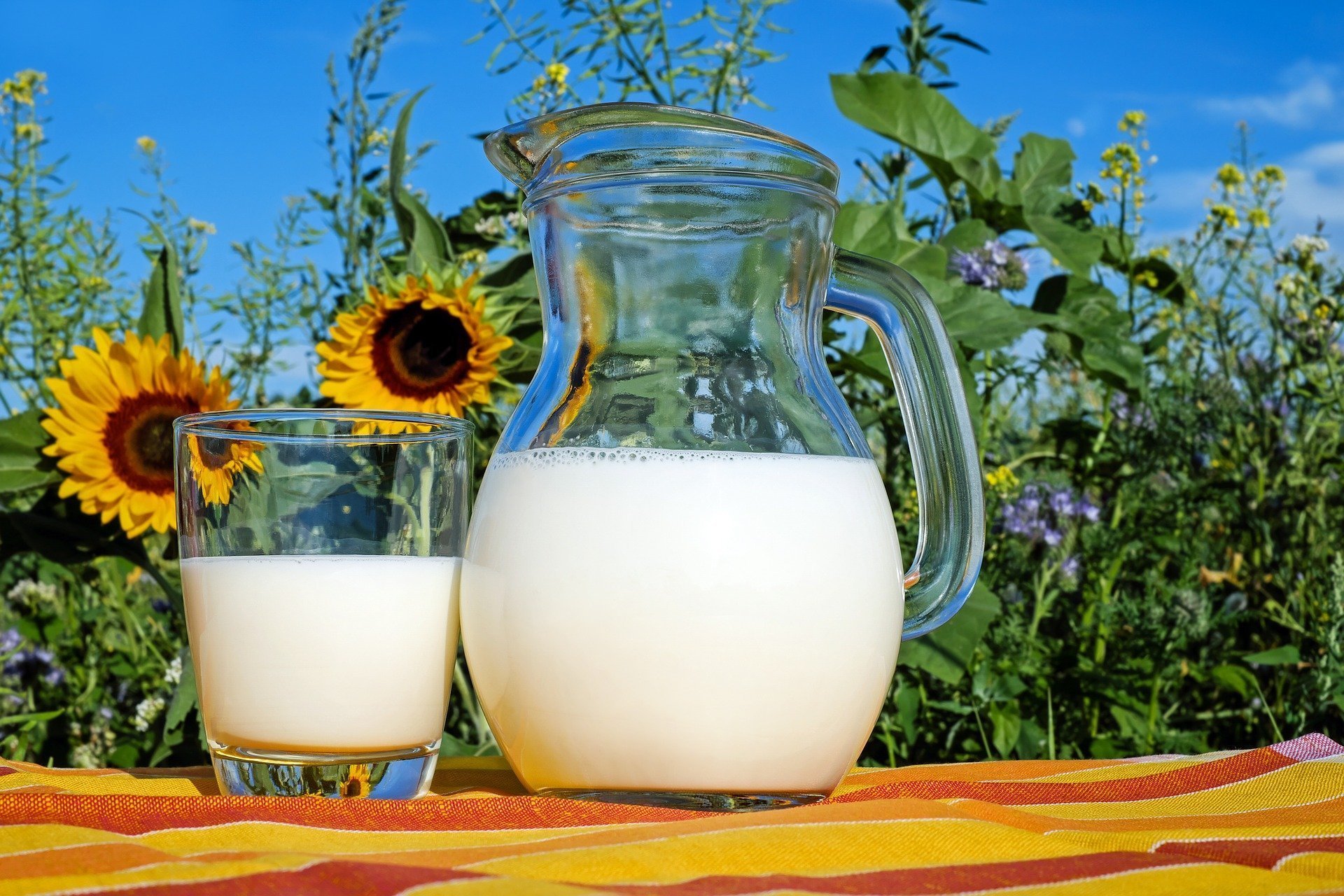 

Почти на 5% выросло производство молока в Удмуртии

